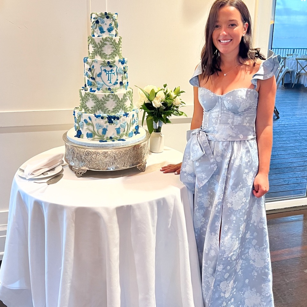 V. Chapman Light Blue Floral Wedding Dress